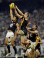 /album/photo-gallery-afl/afl01-jpg/